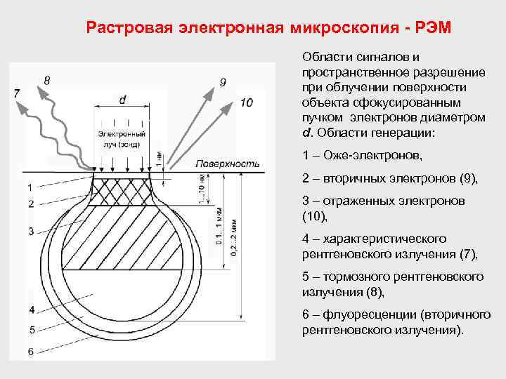 Растровая электронная микроскопия - РЭМ Области сигналов и пространственное разрешение при облучении поверхности объекта