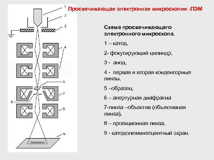 Сканирующий электронный микроскоп схема