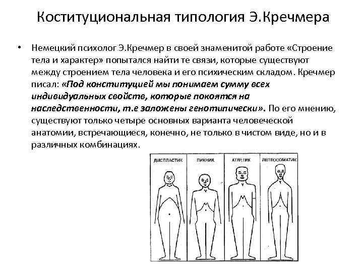 Характер тел. Эрнст Кречмер типы Конституции. Типология Эрнста Кречмера. Конституциональные типы по э. Кречмеру. Типы характера Эрнст Кречмер.