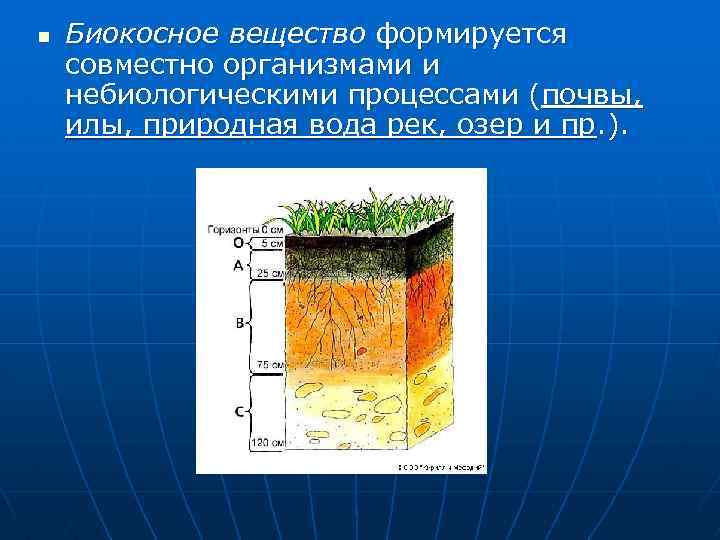 Биокосное вещество фото