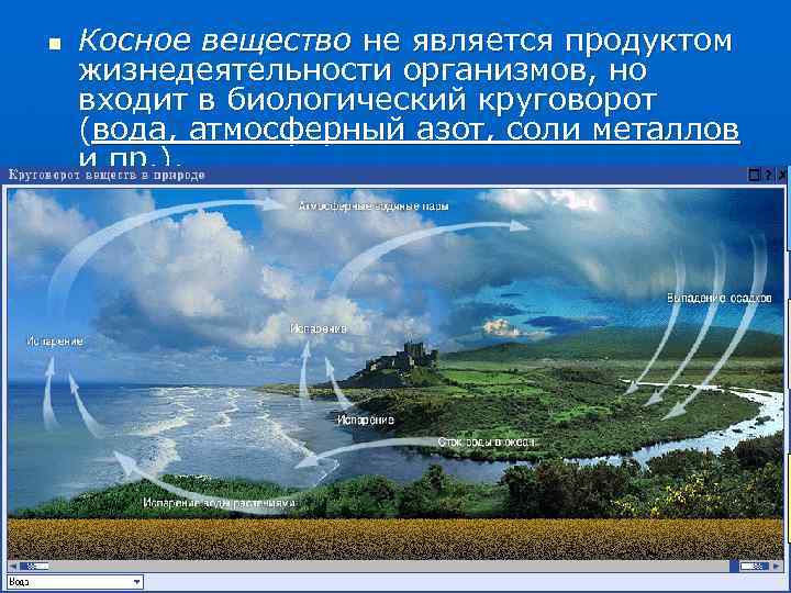 n Косное вещество не является продуктом жизнедеятельности организмов, но входит в биологический круговорот (вода,