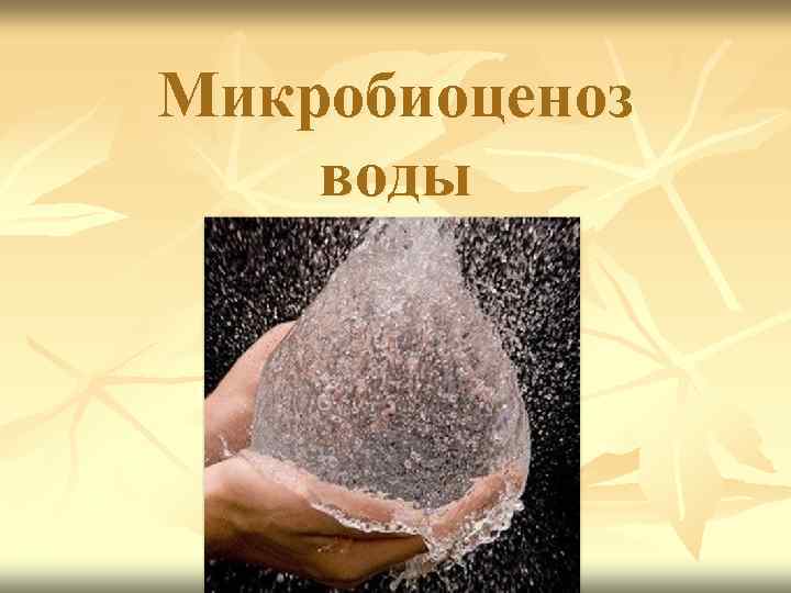 Микробиоценоз воды 