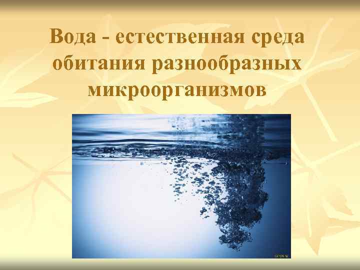 Вода - естественная среда обитания разнообразных микроорганизмов 