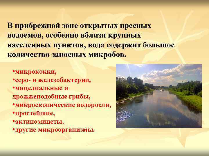 В прибрежной зоне открытых пресных водоемов, особенно вблизи крупных населенных пунктов, вода содержит большое