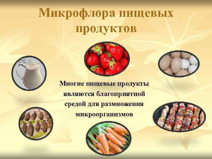 Микрофлора пищевых продуктов Многие пищевые продукты являются благоприятной средой для размножения микроорганизмов 