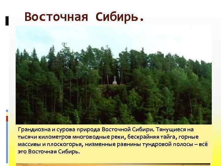 Восточная Сибирь. Грандиозна и сурова природа Восточной Сибири. Тянущиеся на тысячи километров многоводные реки,