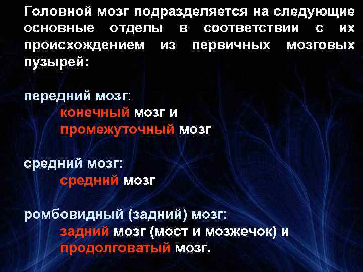 Головной мозг подразделяется на следующие основные отделы в соответствии с их происхождением из первичных