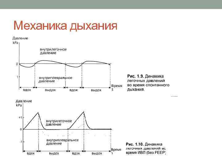 Механика дыхания 