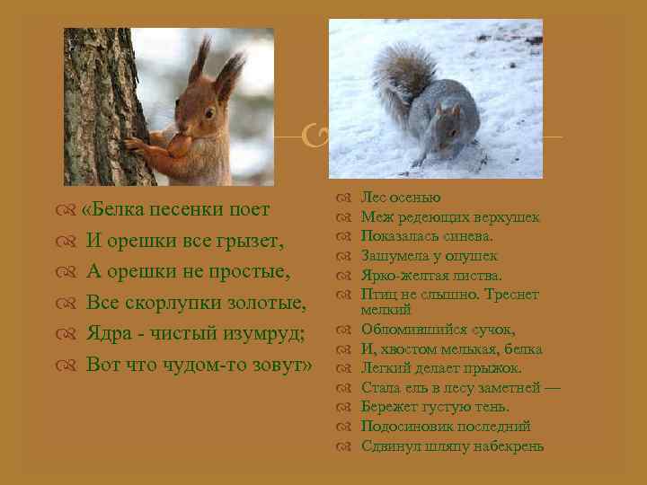  «Белка песенки поет И орешки все грызет, А орешки не простые, Все скорлупки