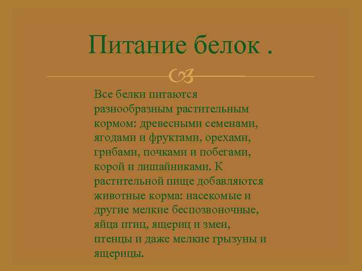 Питание белок. Все белки питаются разнообразным растительным кормом: древесными семенами, ягодами и фруктами, орехами,