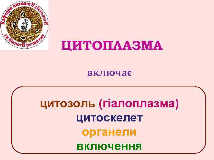 ЦИТОПЛАЗМА включає цитозоль (гіалоплазма) цитоскелет органели включення 