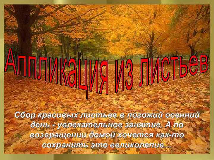 Сбор красивых листьев в погожий осенний день - увлекательное занятие. А по возвращении домой