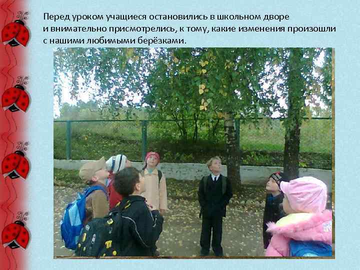 Перед уроком учащиеся остановились в школьном дворе и внимательно присмотрелись, к тому, какие изменения
