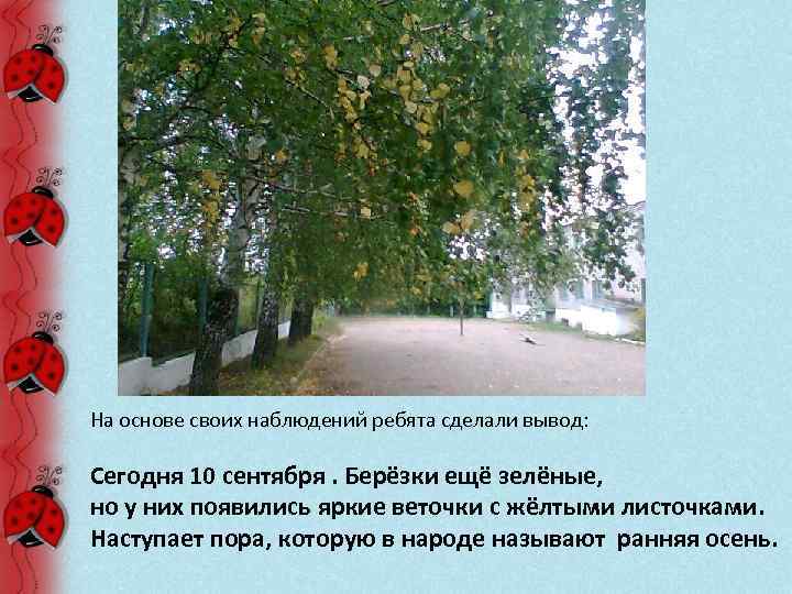 На основе своих наблюдений ребята сделали вывод: Сегодня 10 сентября. Берёзки ещё зелёные, но