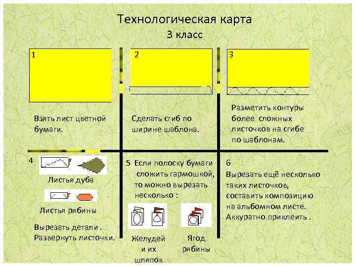 Технологическая карта 3 класс 1 2 Взять лист цветной бумаги. 4 Листья дуба 3