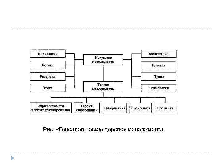 Рис. «Генеалогическое дерево» менеджмента 