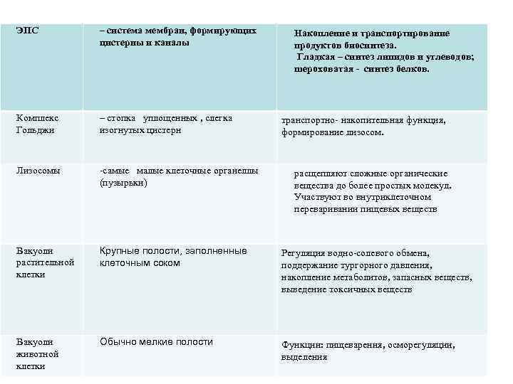 ЭПС – система мембран, формирующих цистерны и каналы Комплекс Гольджи – стопка уплощенных ,