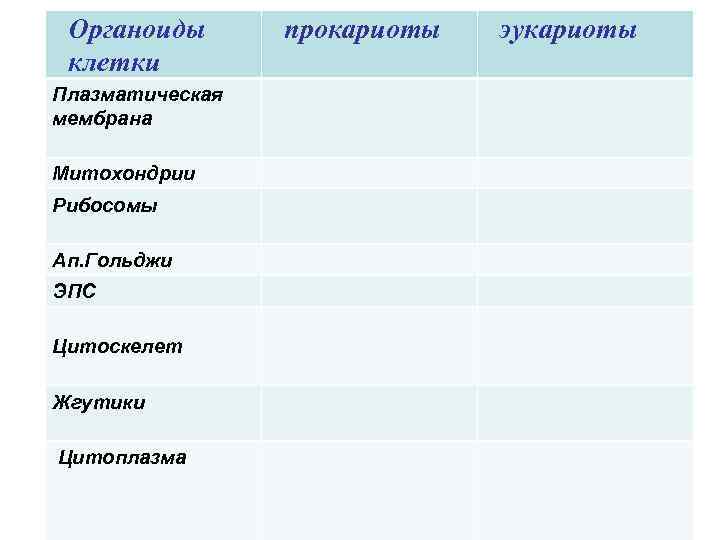 Органоиды клетки Плазматическая мембрана Митохондрии Рибосомы Ап. Гольджи ЭПС Цитоскелет Жгутики Цитоплазма прокариоты эукариоты