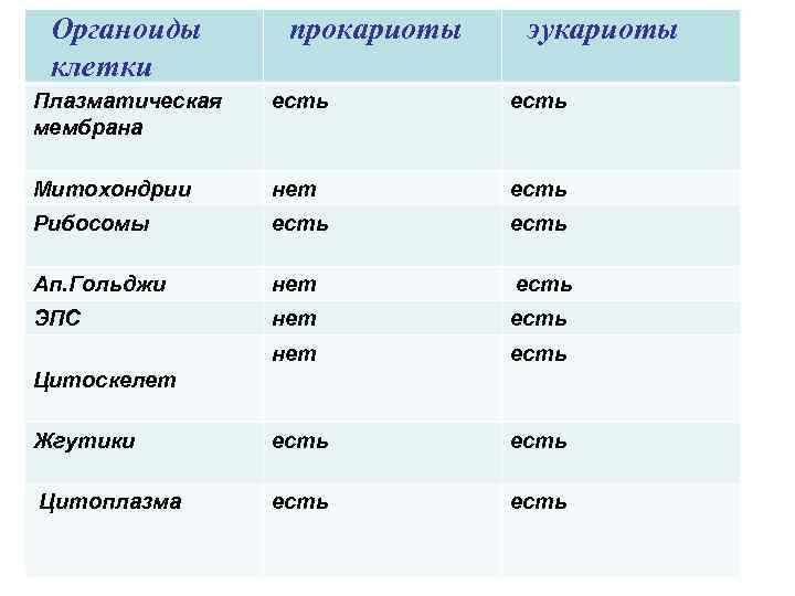 Органоиды клетки прокариоты эукариоты Плазматическая мембрана есть Митохондрии нет есть Рибосомы есть Ап. Гольджи