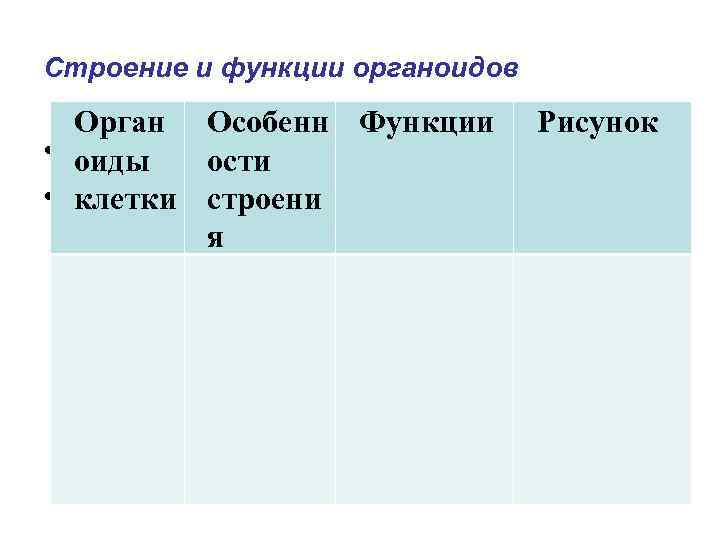 Строение и функции органоидов Орган Особенн Функции • оиды ости • клетки строени я