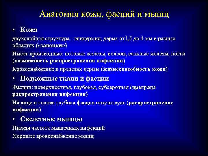 Анатомия кожи, фасций и мышц • Кожа двухслойная структура : эпидермис, дерма от1, 5