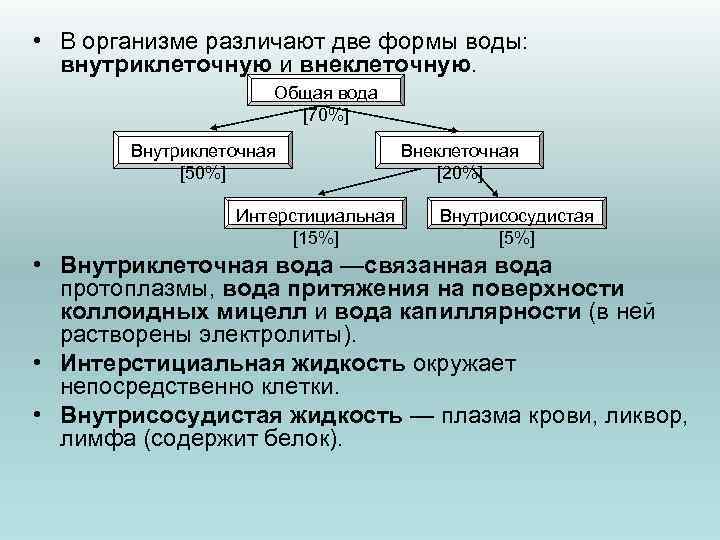  • В организме различают две формы воды: внутриклеточную и внеклеточную. Общая вода [70%]