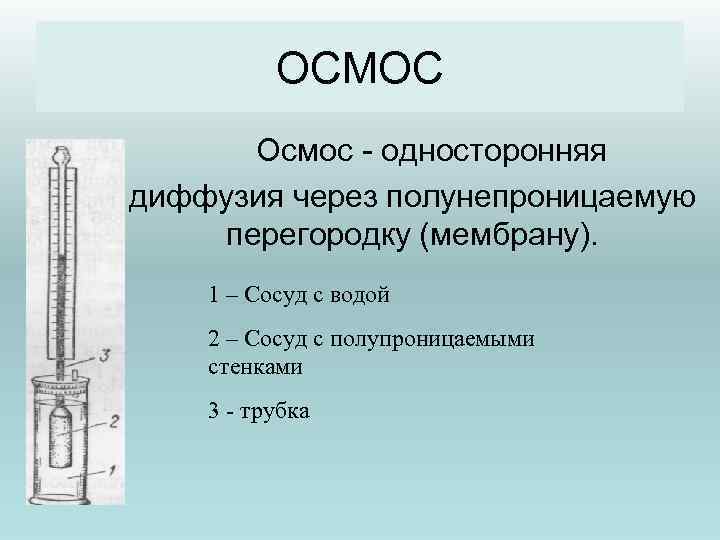ОСМОС Осмос - односторонняя диффузия через полунепроницаемую перегородку (мембрану). 1 – Сосуд с водой