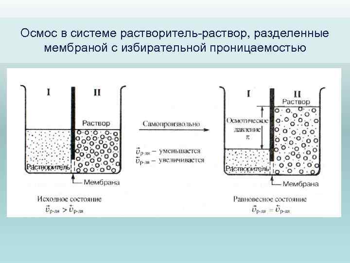 Осмос это простым языком