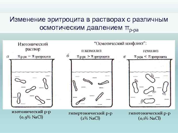 Давление изотонического раствора. Процесс изменения клеток в гипертоническом растворе. Осмотический конфликт. Осмотический ШОК И осмотический конфликт. Изменение температуры через изотонический.