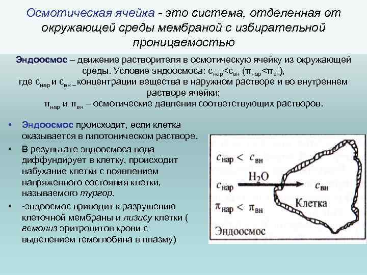 Ячейка это