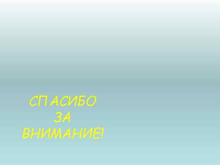 СПАСИБО ЗА ВНИМАНИЕ! 