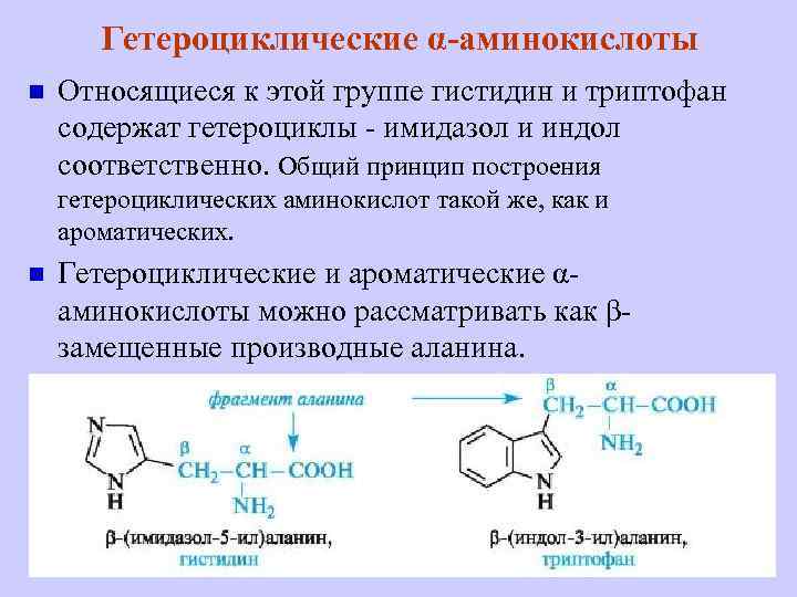 Гетероциклические α-аминокислоты n Относящиеся к этой группе гистидин и триптофан содержат гетероциклы - имидазол
