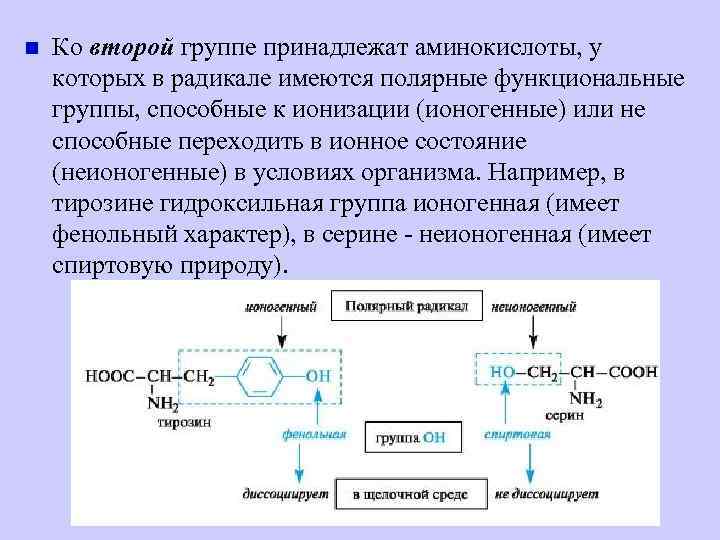 Состав радикалов аминокислот. Полярные ионогенные аминокислоты. Функциональные группы аминокислот. Полярные функциональные группы. Функциональная группа Аминов.