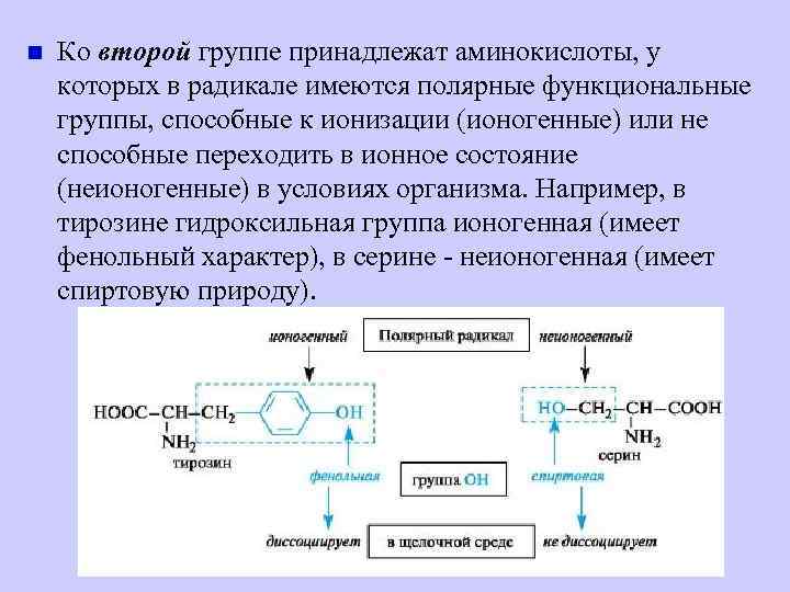 Какие функциональные группы аминокислот. Полярные ионогенные аминокислоты. Функциональные группы аминокислот. Полярные функциональные группы. Название функциональной группы аминокислот.