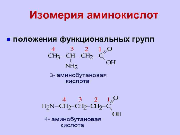 Какие функциональные группы аминокислот
