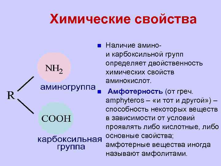 Почему аминокислоты амфотерные. Кислотно-основные свойства аминокислот. Химические свойства аминокислот. Амфотерный характер аминокислот. Двоцственность кислотно-основных свойств аминокислот и её причтны.