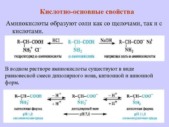 Кислотно-основные свойства Аминокислоты образуют соли как со щелочами, так и с кислотами. В водном