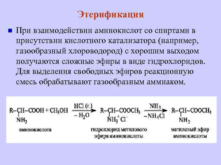 Аминокислоты образуют сложные эфиры