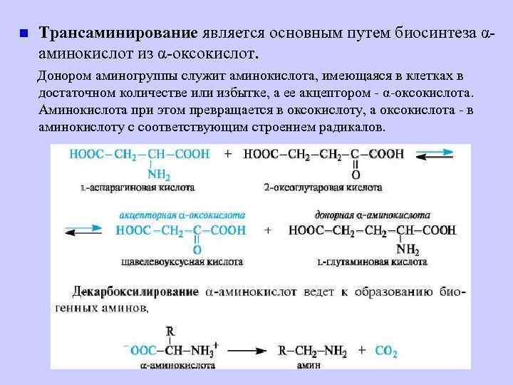 n Трансаминирование является основным путем биосинтеза αаминокислот из α-оксокислот. Донором аминогруппы служит аминокислота, имеющаяся