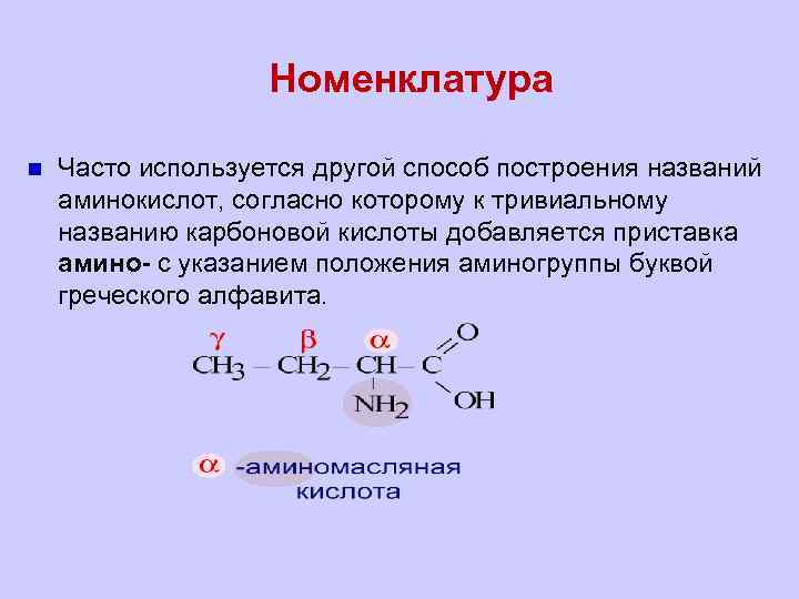 Какие вещества называют аминами какой признак