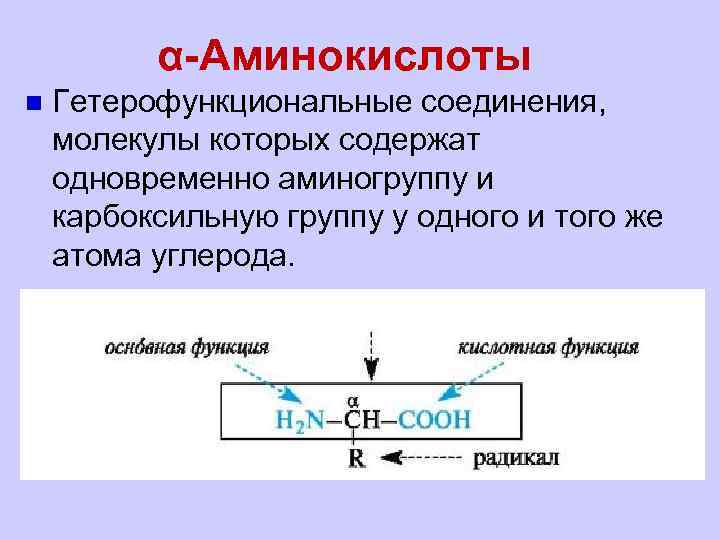 α-Аминокислоты n Гетерофункциональные соединения, молекулы которых содержат одновременно аминогруппу и карбоксильную группу у одного