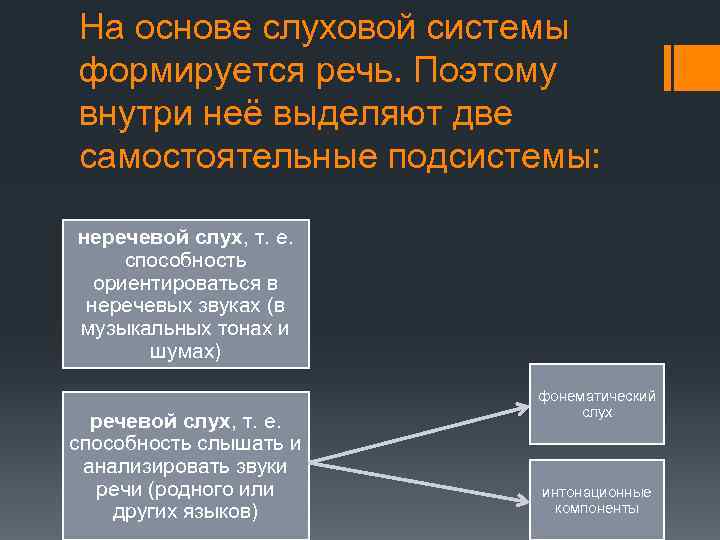 На основе слуховой системы формируется речь. Поэтому внутри неё выделяют две самостоятельные подсистемы: неречевой