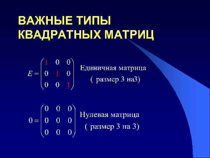 Виды матриц презентация