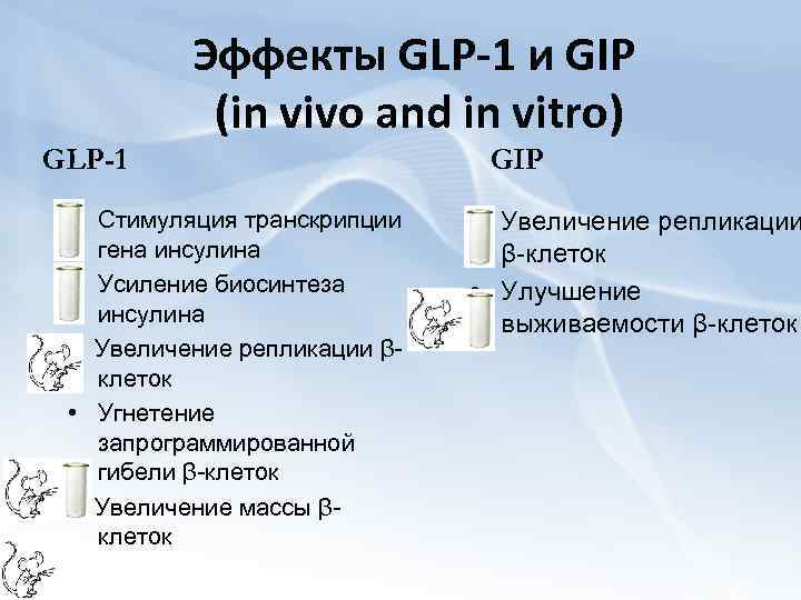 Эффекты GLP-1 и GIP (in vivo and in vitro) GLP-1 • Стимуляция транскрипции гена