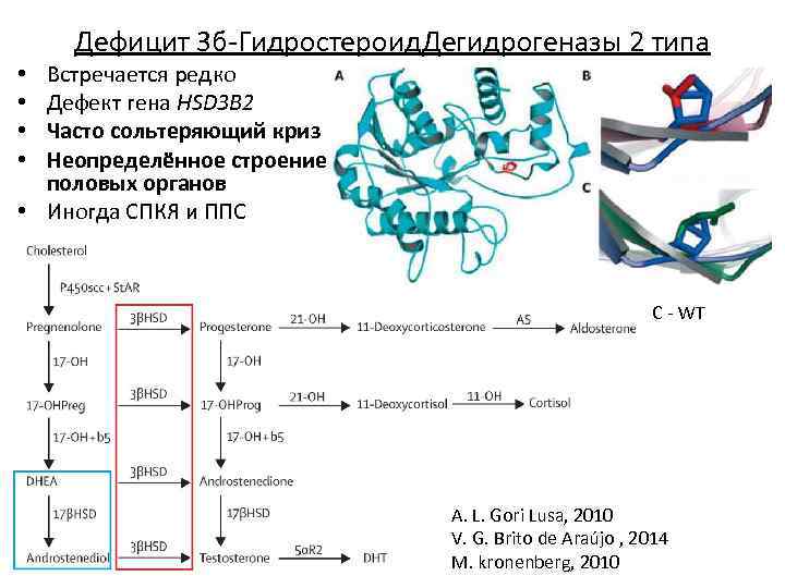 Дефицит 3 б-Гидростероид. Дегидрогеназы 2 типа Встречается редко Дефект гена HSD 3 B 2