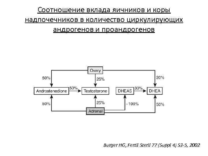 Соотношение вклада яичников и коры надпочечников в количество циркулирующих андрогенов и проандрогенов Burger HG,
