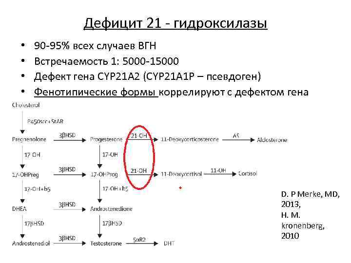 При значительном дефиците 21 гидроксилазы развивается клиническая картина