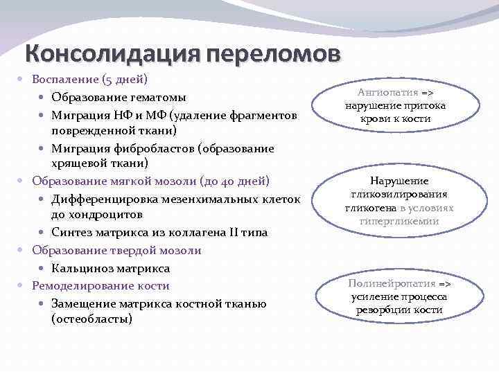 Консолидация переломов Воспаление (5 дней) Образование гематомы Миграция НФ и МФ (удаление фрагментов поврежденной