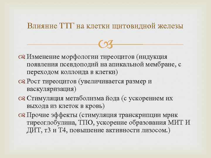 Влияние ТТГ на клетки щитовидной железы Изменение морфологии тиреоцитов (индукция появления псевдоподий на апикальной