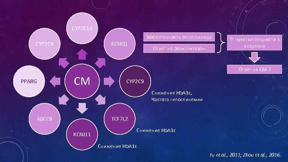 CYP 2 C 19 Эффективность репаглинида CYP 2 C 8 KCNQ 1 Ответ на